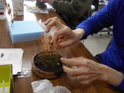 DSCN4068.JPG