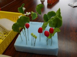 DSCN5656.jpg