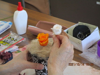 IMG_2306.JPG